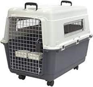 (1) LARGE PLASTIC KENNEL