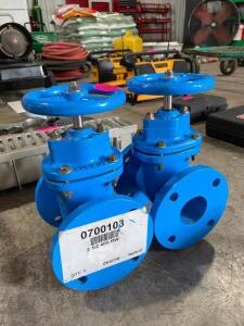 (2) - 405 NRS CAST IRON GATE VALVES