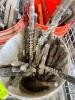 DESCRIPTION: LARGE ASSORTMENT OF CEMENT DRILL BITS - ASSORTED CONDITIONS ADDITIONAL INFORMATION: SOLD AS SET. THIS LOT IS: ONE MONEY QTY: 1 - 3