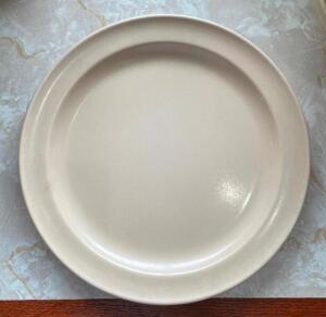 (25) - DINNER PLATES