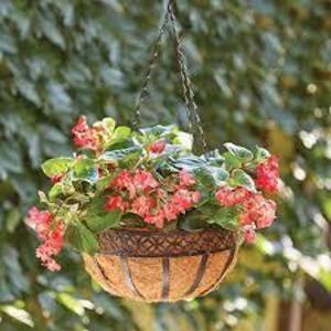 DESCRIPTION: (1) HANGING BASKET BRAND/MODEL: BETTER HOMES AND GARDENS INFORMATION: BLACK RETAIL$: $20.00 EA SIZE: 16 IN QTY: 1