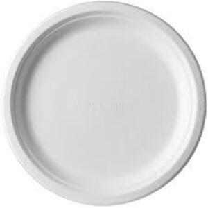 DESCRIPTION: (1) CASE OF (500) DISPOSABLE PLATES BRAND/MODEL: ECO PRODUCTS INFORMATION: WHITE RETAIL$: $125.13 EA SIZE: 9 IN QTY: 1