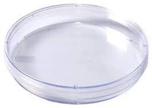 DESCRIPTION: (1) CASE OF (500) PETRI DISH BRAND/MODEL: KORD VALMARK RETAIL$: $127.07 EA SIZE: 100X15MM QTY: 1