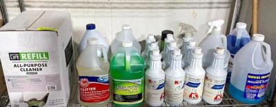 DESCRIPTION: CONTENTS OF SINGLE SHELF - ASSORTED CLEANING PRODUCT. LOCATION: AREA #1 THIS LOT IS: ONE MONEY QTY: 1