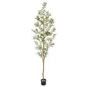 DESCRIPTION: (1) INDOOR ARTIFICIAL OLIVE TREE BRAND/MODEL: NEARLY NATURAL #9160-*MB RETAIL$: $101.39 EA SIZE: 82 IN QTY: 1