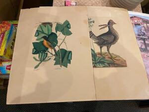 DESCRIPTION: (2) ASSORTED PRINTS - BIRDS LOCATION: SEATING THIS LOT IS: ONE MONEY QTY: 1