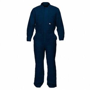 DESCRIPTION: (2) PAIRS OF COVERALLS BRAND/MODEL: CHICAGO PROTECTIVE APPAREL #23TN38 INFORMATION: BLUE RETAIL$: $100.00 EA SIZE: MENS L 46 IN MAX QTY: