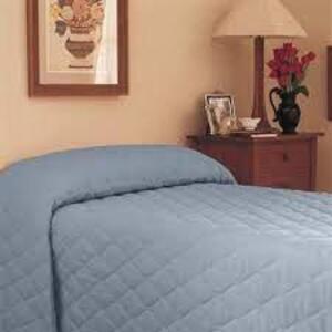 DESCRIPTION: (1) QUILTED BEDSPREAD BRAND/MODEL: MARTEX INFORMATION: BLUE RETAIL$: $40.00 EA SIZE: TWIN QTY: 1