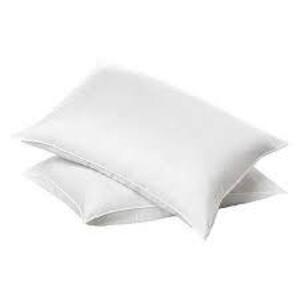 DESCRIPTION: (1) CASE OF (12) GARNETTED PILLOWS BRAND/MODEL: BASICS #5012605 RETAIL$: $111.76 EA SIZE: 20X26 QTY: 1