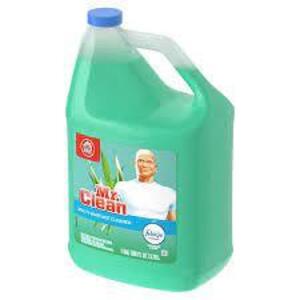 DESCRIPTION: (2) MULTI-PURPOSE CLEANER BRAND/MODEL: MR CLEAN #33NT80 RETAIL$: $17.00 EA SIZE: 1 GALLON QTY: 2