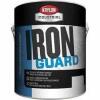 DESCRIPTION: (2) IRON GUARD BRAND/MODEL: KRYLON #K11044001 INFORMATION: SAFETY GREEN RETAIL$: $64.00 EA SIZE: 1 GALLON QTY: 2