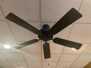 (6) CEILING FANS