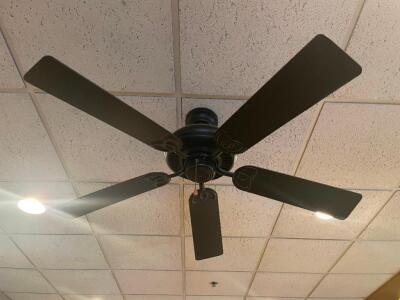 (6) CEILING FANS