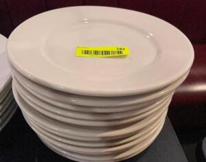 (10) 9" CHINA PLATES