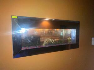 60" X 25" IN WALL FISH TANK W/ CHROME TRIM