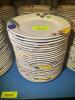 (24) 10" CHINA PLATES - 2