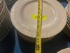 (12) 10.5" CHINA PLATES W/ CASCADE PATTERN - 2