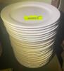 (20) 9" CHINA PLATES