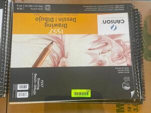 (2) CANSON 1557 DRAWING AND DESIGN PADS