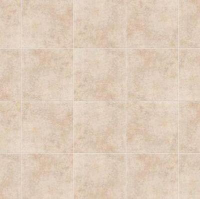 (2) - BOXES OF BRITON BONE 12 IN. X 12 IN. CERAMIC FLOOR AND WALL TILE (11 SQ. FT. / CASE)