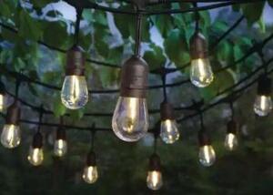 24-LIGHT INDOOR/OUTDOOR 48 FT. STRING LIGHT WITH S14 SINGLE FILAMENT LED BULBS