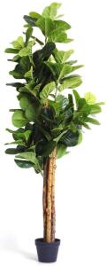 FIDDLE LEAF ARTIFICIAL PLANT (2 STEM, 6FT)