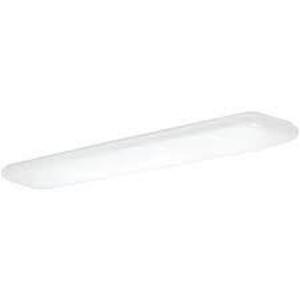 (2) 4 ft. LED CEILING LIGHTS