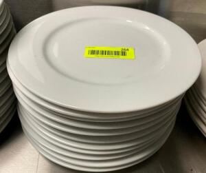 (12) 10" CHINA PLATES