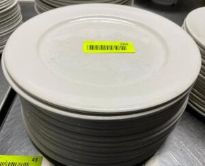 (12) 9.5" CHINA PLATES