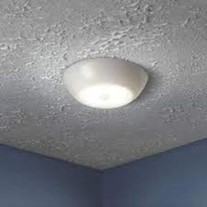 Indoor/ Outdoor 300 Lumen UltraBright Battery Powered Motion Activated Ceiling Light, White