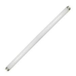 36in T8 Cool White Starcoat fluorescent bulb (8 PACK)