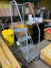 (1) COTTERMAN ROLLING SAFETY LADDER - 4