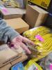 DESCRIPTION: (24) PAIRS OF WORK GLOVES BRAND/MODEL: SHOWA #960S-08 INFORMATION: YELLOW RETAIL$: $3.59 PER PAIR SIZE: 8 SMALL QTY: 24 - 2