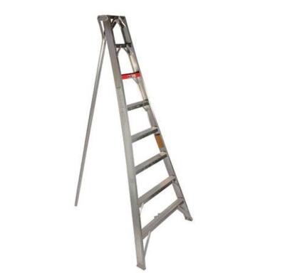 DESCRIPTION: (1) TRIPOD STEPLADDER BRAND/MODEL: STOKES/1106H INFORMATION: 300LB CAPACITY RETAIL$: $869.85 SIZE: 6 FOOT QTY: 1