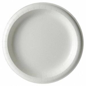 (1) CASE OF (1000) DISPOSABLE PAPER PLATES