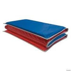 (2) GERM FREE REST MAT