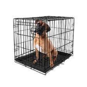 (1) SINGLE DOOR KENNEL