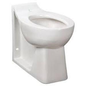 (1) TOILET BOWL