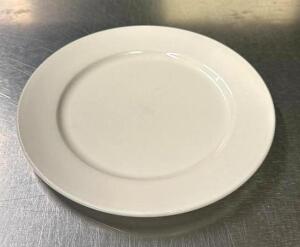 (24) 9-1/2" CHINA PLATES