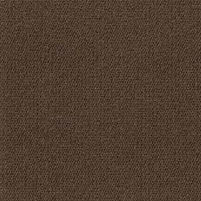 DESCRIPTION: (1) CASE OF (15) CARPET TILES BRAND/MODEL: FOSS FLOORS INFORMATION: BROWN RETAIL$: $100.00 EA QTY: 1