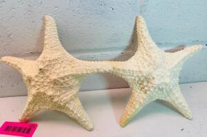 (2) NATURAL STAR FISH