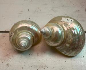 (2) AFRICAN POLISHED SHELLS