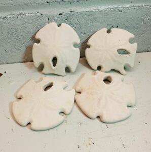 (4) SAND DOLLARS