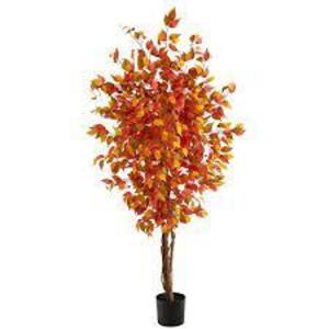 DESCRIPTION: (1) ARTIFICIAL FALL TREE BRAND/MODEL: NEARLY NATURAL INFORMATION: AUTUMN FICUS RETAIL$: $114.00 EA SIZE: 6' QTY: 1