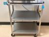 DESCRIPTION: THREE TIER STAINLESS STEEL UTILITY CART BRAND / MODEL: LAKESIDE RETAIL PRICE: $246.00 ADDITIONAL INFORMATION: GREAT CONDITION WITH MINOR - 3