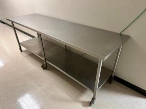 102" X 30" ALL STAINLESS TABLE ON CASTERS