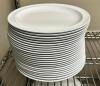 (24) 10" MELAMINE PLATES W/ PLASTIC COVERS.