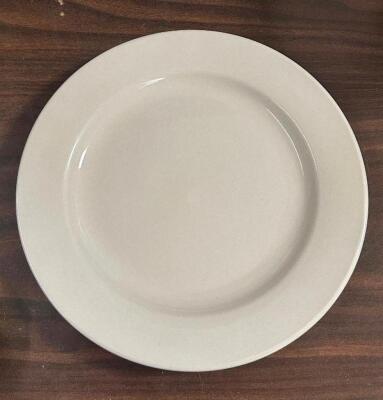 (24) - 9.5" DINNER PLATES