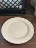 (24) - 9.5" DINNER PLATES - 3