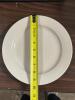 (24) - 9.5" DINNER PLATES - 5